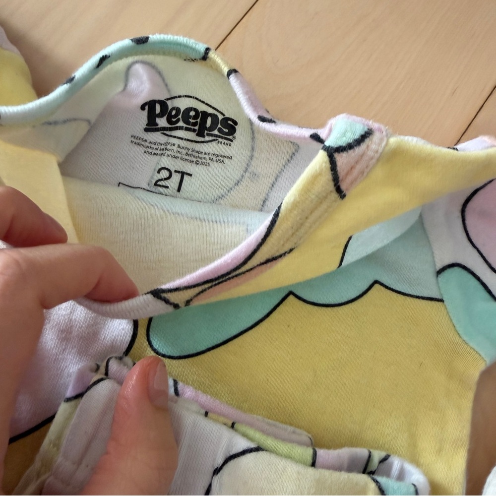 2T Girl’s Bundle - Picture 6 of 6
